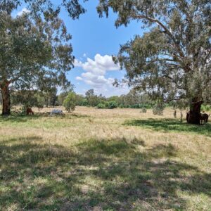 535 Kooringal Road, Lake Albert, NSW 2650 AUS