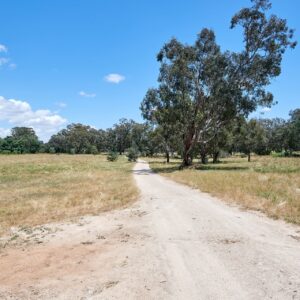 535 Kooringal Road, Lake Albert, NSW 2650 AUS