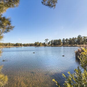 55 Cromwell Circuit, Isabella Plains, ACT 2905 AUS