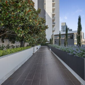 117/39 Benjamin Way, Belconnen, ACT 2617 AUS