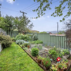 41 Cochrane Crescent, Theodore, ACT 2905 AUS