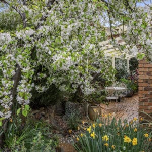 41 Cochrane Crescent, Theodore, ACT 2905 AUS