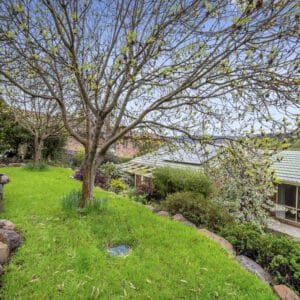 41 Cochrane Crescent, Theodore, ACT 2905 AUS