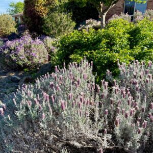 25 Perrin Circuit, Banks, ACT 2906 AUS