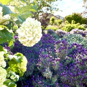 25 Perrin Circuit, Banks, ACT 2906 AUS