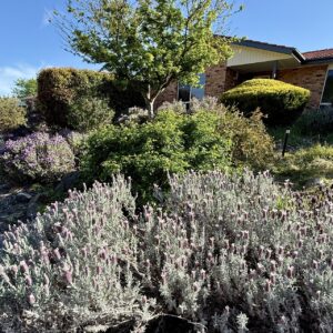 25 Perrin Circuit, Banks, ACT 2906 AUS