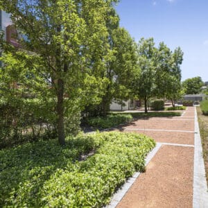 18/28 Watson Street, Turner, ACT 2612 AUS