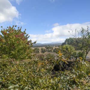 3 Ford Place, Gordon, ACT 2906 AUS