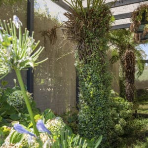 39 Rosman Circuit, Gilmore, ACT 2905 AUS