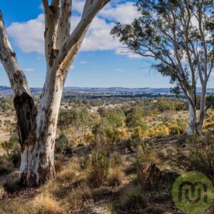 678 Sheldricks Lane, Manton, NSW 2582 AUS